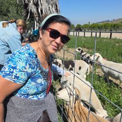 Old Grove Farms - BaaaaaaaaaH