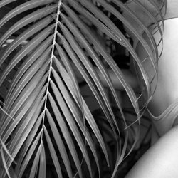 Renouveau Med Spa - "You're Never Too Old To Become Younger."
-  MAY WEST  -