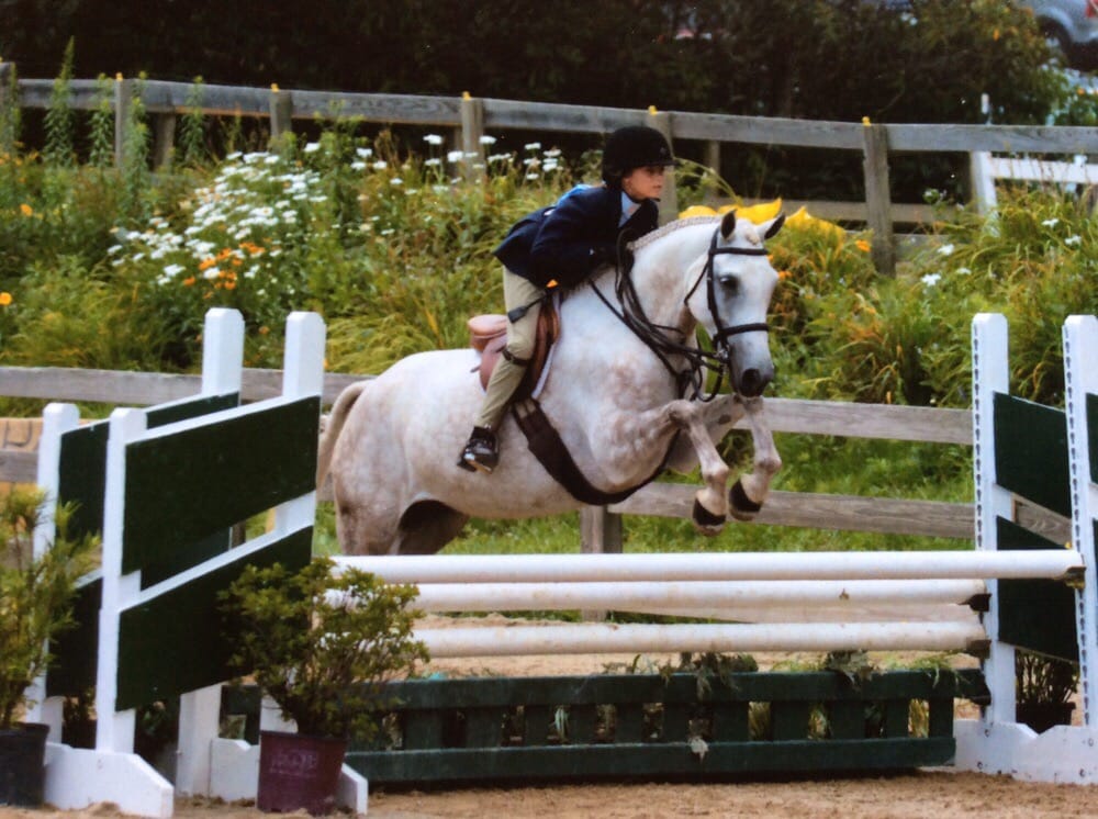 Ridge Point Stables - equestrian in Haines City, FL