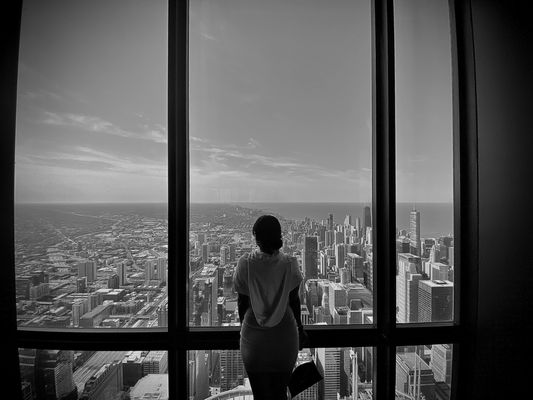 Willis Tower by null