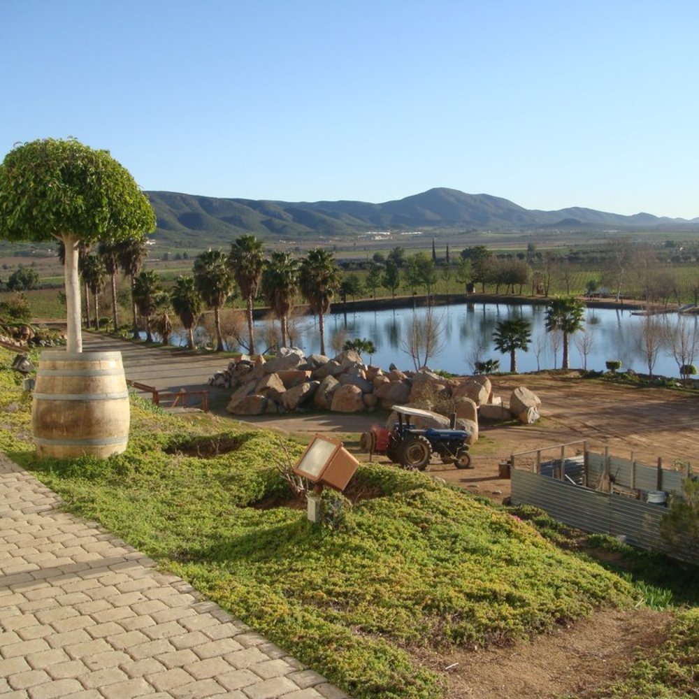 Monte Xanic - Wineries Near Me - Valle de Guadalupe, BCN