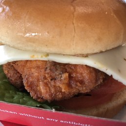 Spicy Deluxe Sandwich