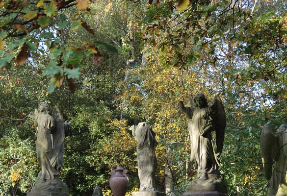 Abney Park Cemetery Trust by null