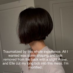 Elle Jane Beauty - Left traumatized after 6 hours in her chair to achieve this butchered hair mess.