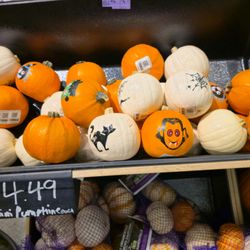 Target - Punpkins for halloween