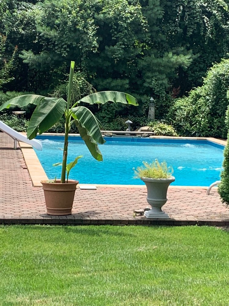 Slide of Long Island Marble Dusting