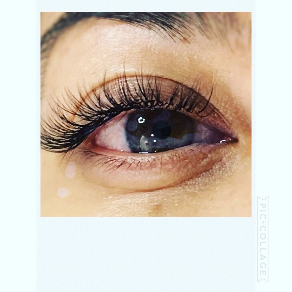 Pavlina's Eyelash Boutique Logo