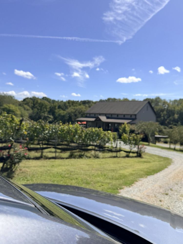 FireClay Cellars - vineyard in Siler City, NC