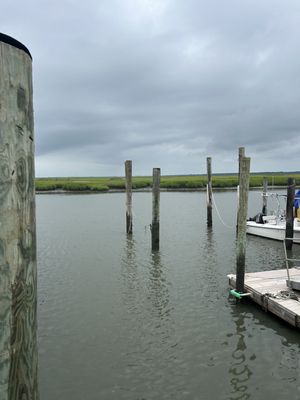Hooked Up Seafood by null