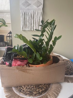 Adams & Son & Daughter Gardens by null