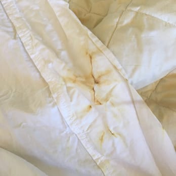 Shoreview Wash & Dry - BRAND NEW $60 Sheets ruined - Laundry Services Near Me - San Mateo, California Shoreview Wash & Dry - BRAND NEW $60 Sheets ruined - Laundry Services Near Me - San Mateo, California