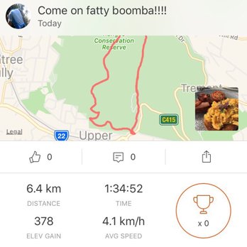 1000 Steps - not sure if fitness was the main reward! - Hiking Near Me - Upper Ferntree Gully, VIC 1000 Steps - not sure if fitness was the main reward! - Hiking Near Me - Upper Ferntree Gully, VIC