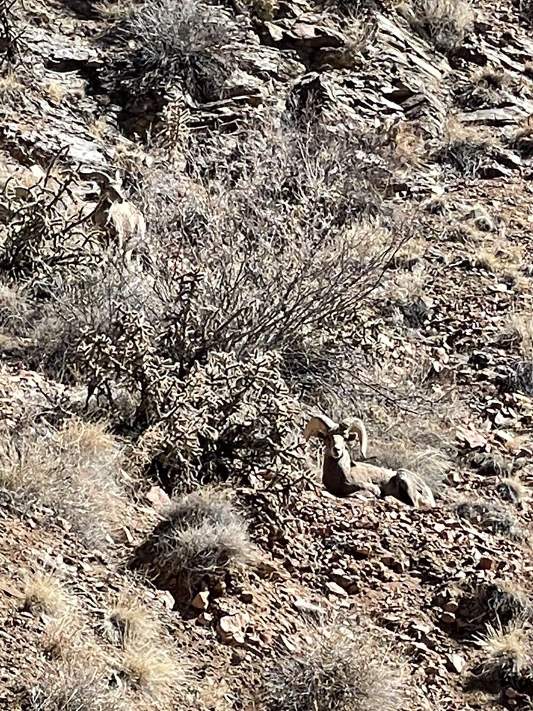 TUNNEL DRIVE TRAILHEAD Updated October 2024 32 Photos 205 Tunnel