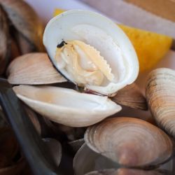 Star Fish Co Seafood Market and Restaurant - Steamed clams
