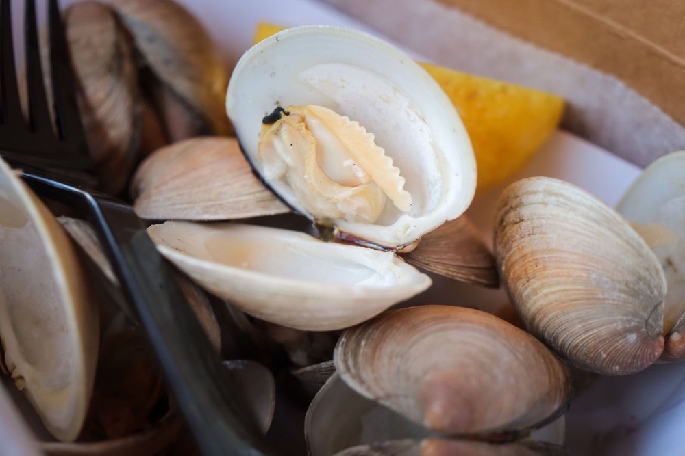 Star Fish Co Seafood Market and Restaurant