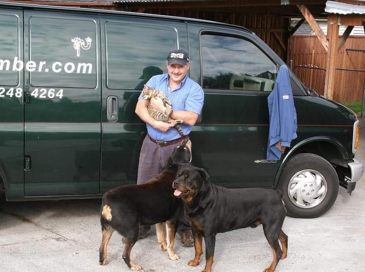 Slide of Zoltan The Plumber