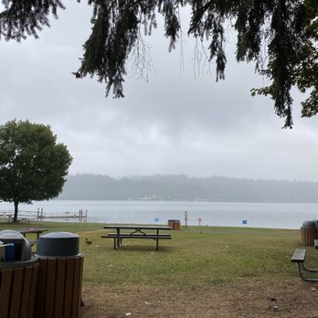 Idylwood Beach Park - Look closely at all the litter! How sad! - Parks Near Me - Redmond, Washington