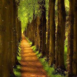 Edmond Okc Chiropractor - We can help you on your path back to health!!!