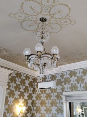 Ribaut Social Club by null