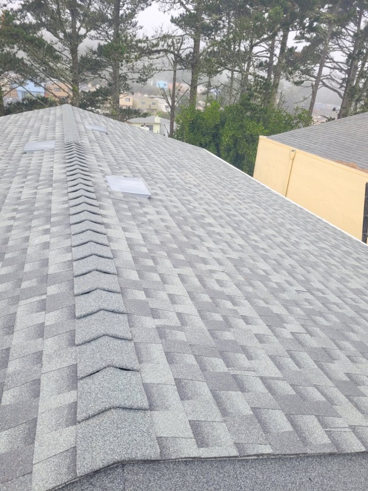 Slide of Roofing & Garden