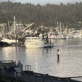 Coasties Roasties - Our view - Coffee & Tea Near Me - Newport, Oregon