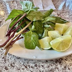 Pho 501