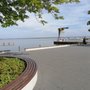 Photo of Steinhuder Meer