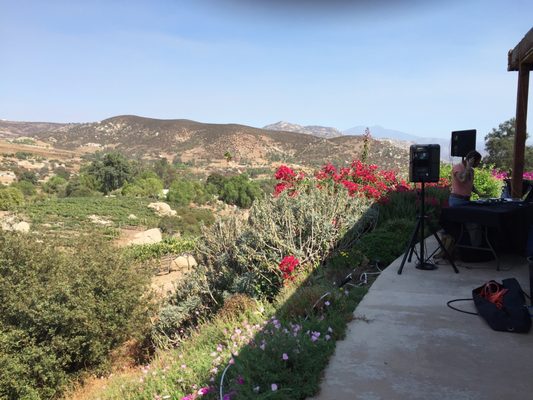 The view from the winery! - Our winery has beautiful views, sip a glass of wine and take it in.