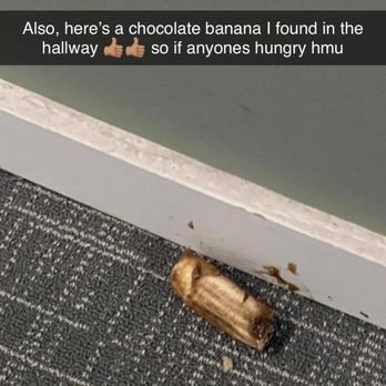Park Butterfield - Gross food that was left in the hallway - Apartments Near Me - Mundelein, Illinois Park Butterfield - Gross food that was left in the hallway - Apartments Near Me - Mundelein, Illinois