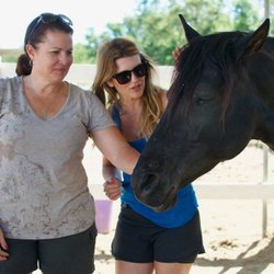 Peaceful Hearts For Change - Horses just make you feel better!