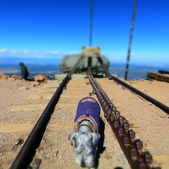 Pikes Peak - America's Mountain - Close up of the teeth on the cog railway - Hiking Near Me - Cascade, Colorado Pikes Peak - America's Mountain - Close up of the teeth on the cog railway - Hiking Near Me - Cascade, Colorado