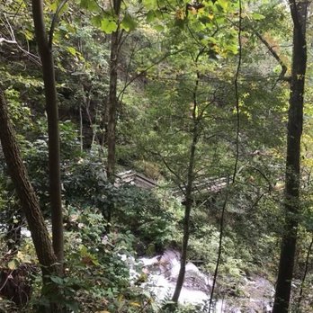 Amicalola Falls State Park - Parks Near Me - Dawsonville, Georgia Amicalola Falls State Park - Parks Near Me - Dawsonville, Georgia