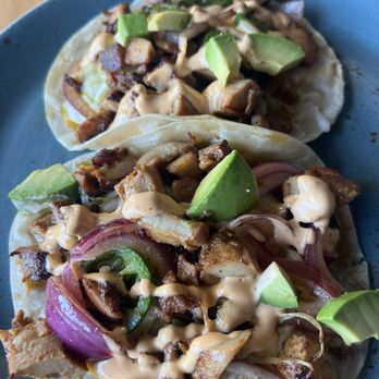 Vida Modern Mexican + Tequila - Chipotle chicken taco - Mexican Near Me - Redondo Beach, California Vida Modern Mexican + Tequila - Chipotle chicken taco - Mexican Near Me - Redondo Beach, California