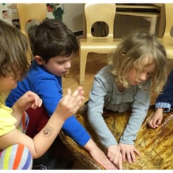 Little School On the Hill - Examining a tortoise shell from Riverbend Environmental Nature Center, whose teachers visit us weekly during the school year.