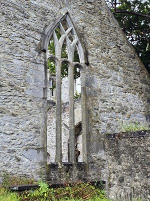 Muckross Abbey by null