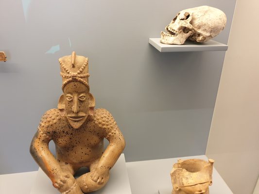 Museo Amparo by null