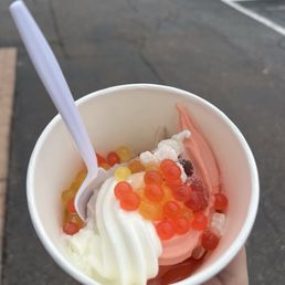 Got euro tart, mango sorbet, and cookies and cream. It was really good and the owner was very friendly!