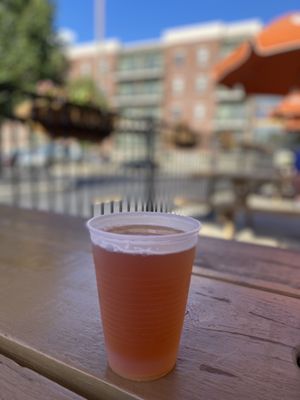 Metazoa Brewing Company by null