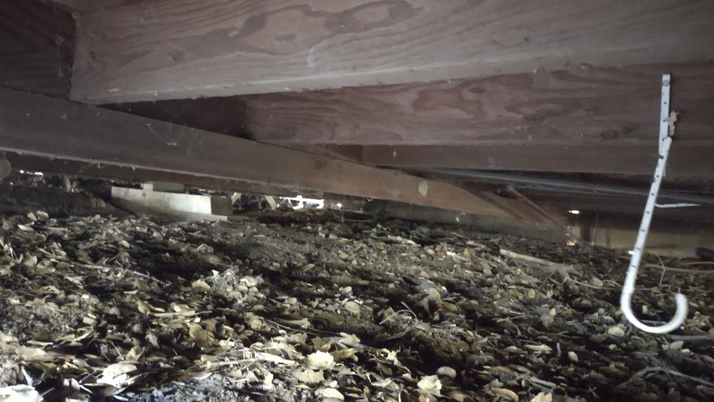 Slide of Russian River Handyman