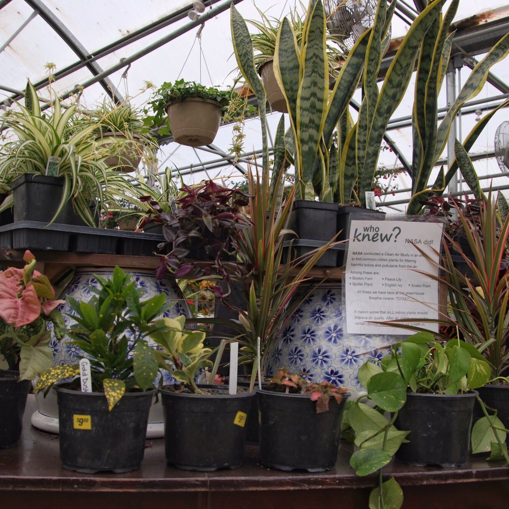Hubbs Greenhouse - Plants - Nurseries & Gardening Near Me - Marengo, Illinois
