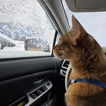 PetSmart - Liza - Pet Stores Near Me - Troy, Michigan