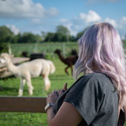Cherry Lane Acres - Living the dream