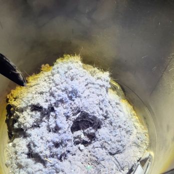 Paynefully Clean & Handy Services - The amount of lint stuck in our dryer venting system. - Handyman Near Me - Chico, California Paynefully Clean & Handy Services - The amount of lint stuck in our dryer venting system. - Handyman Near Me - Chico, California