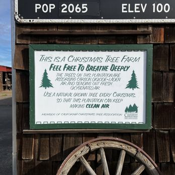 Pine Country Christmas Tree Farm - Yes! - Christmas Trees Near Me - Gustine, California Pine Country Christmas Tree Farm - Yes! - Christmas Trees Near Me - Gustine, California