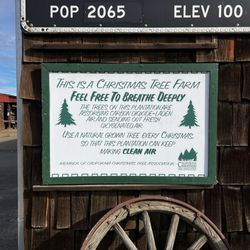 Pine Country Christmas Tree Farm - Yes!