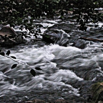 Each Day Counts Photography - Love this!  Sacramento River, Dunsmuir CA - Photographers Near Me
