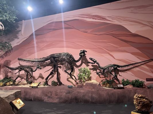 Mountain America Museum of Ancient Life at Thanksgiving Point by null