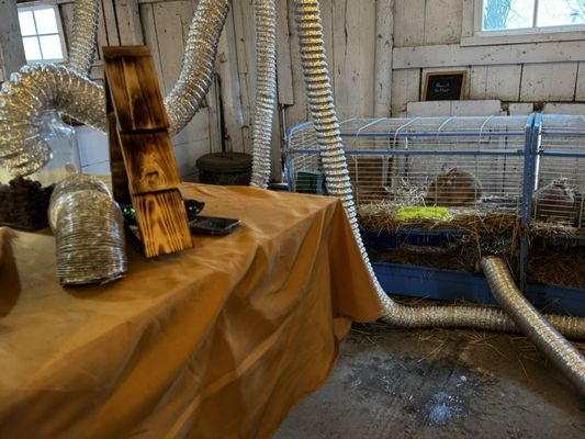 Grandpa Tiny's Farm by null