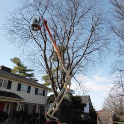 K&h Tree & Landscaping
