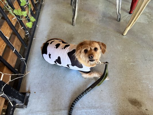 Makers & Finders by null